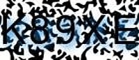 grafischer Sicherheitscode