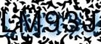 grafischer Sicherheitscode