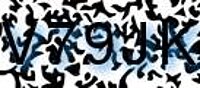 grafischer Sicherheitscode