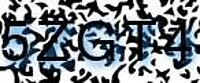 grafischer Sicherheitscode