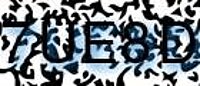 grafischer Sicherheitscode