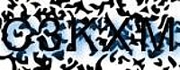 grafischer Sicherheitscode