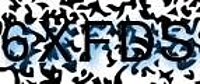 grafischer Sicherheitscode