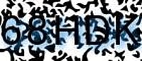 grafischer Sicherheitscode