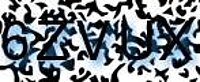 grafischer Sicherheitscode