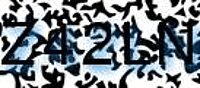 grafischer Sicherheitscode