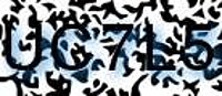 grafischer Sicherheitscode