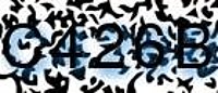 grafischer Sicherheitscode