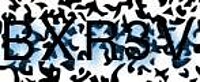 grafischer Sicherheitscode