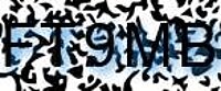 grafischer Sicherheitscode
