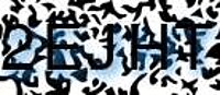 grafischer Sicherheitscode