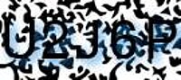 grafischer Sicherheitscode